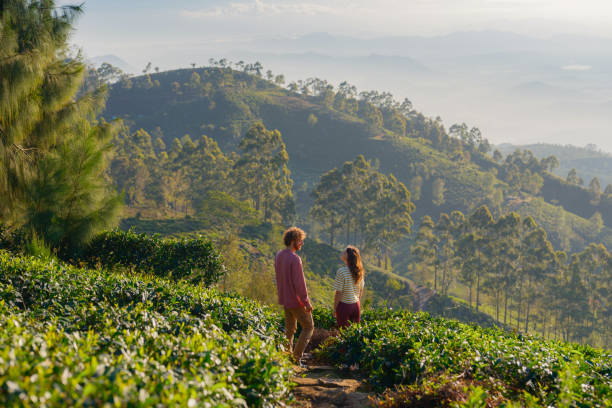 Romantic Honeymoon Tours in Sri Lanka 7